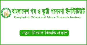 বাংলাদেশ গম ও ভুট্টা গবেষণা ইনস্টিটিউট নিয়োগ বিজ্ঞপ্তি