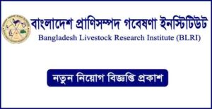 বাংলাদেশ প্রাণিসম্পদ গবেষণা ইনস্টিটিউট (বিএলআরআই) নিয়োগ বিজ্ঞপ্তি