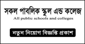 সকল পাবলিক স্কুল এন্ড কলেজ নিয়োগ বিজ্ঞপ্তি