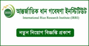 আন্তর্জাতিক ধান গবেষণা ইনস্টিটিউট নিয়োগ বিজ্ঞপ্তি