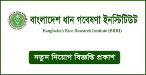 বাংলাদেশ ধান গবেষণা ইনস্টিটিউট নিয়োগ বিজ্ঞপ্তি