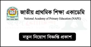 জাতীয় প্রাথমিক শিক্ষা একাডেমি (নেপ) নিয়োগ বিজ্ঞপ্তি