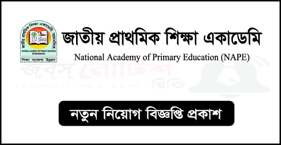 জাতীয় প্রাথমিক শিক্ষা একাডেমি (নেপ) নিয়োগ বিজ্ঞপ্তি ২০২৪-NAPE Job Circular 2024