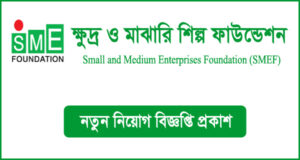 ক্ষুদ্র ও মাঝারি শিল্প ফাউন্ডেশন নিয়োগ বিজ্ঞপ্তি - SMEF Job Circular