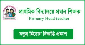সরকারি প্রাথমিক বিদ্যালয়ে প্রধান শিক্ষক নিয়ােগ বিজ্ঞপ্তি - Primary Head teacher Job Circular