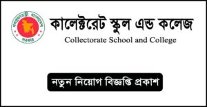 Collectorate School and College Job Circular