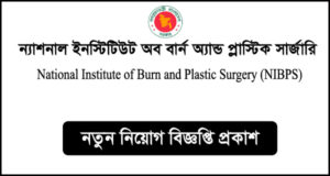 NIBPS Job Circular