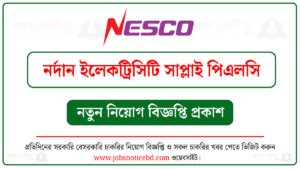 নর্দান ইলেকট্রিসিটি সাপ্লাই পিএলসি নিয়োগ বিজ্ঞপ্তি